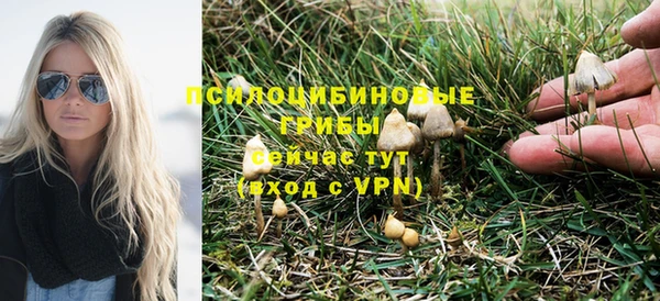 стафф Абаза