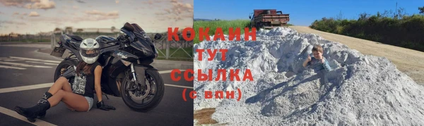 хмурый Алексин